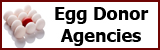 eggDonorAgencies2